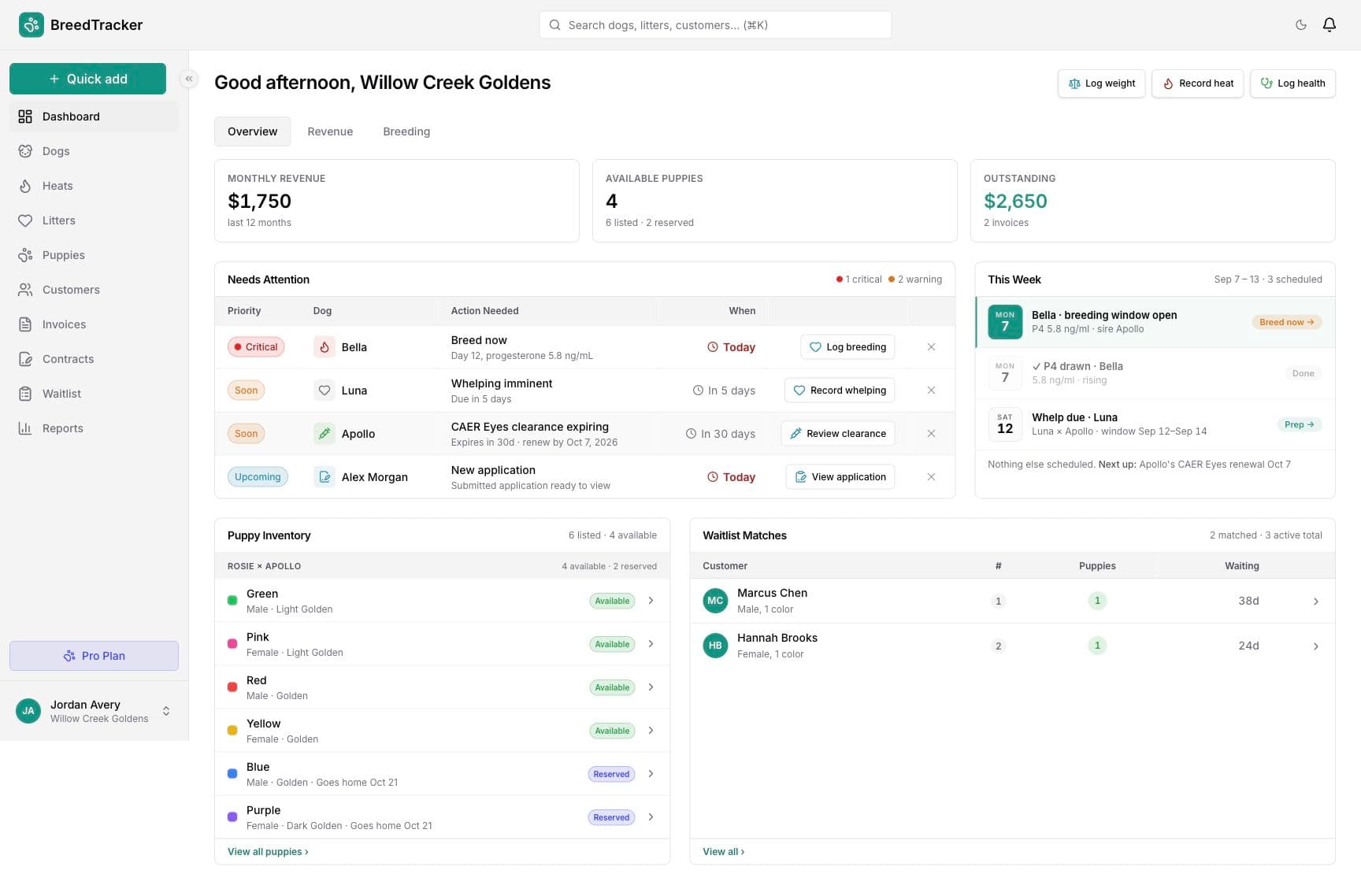 BreedTracker dashboard for Willow Creek Goldens, with breeding and whelping tasks, a new application from Alex Morgan, puppy availability, and waitlist matches.